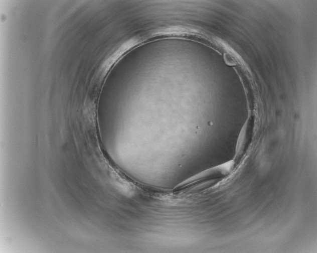 X0000087591329200705041459