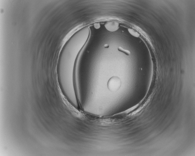 X0000087591330200705041459