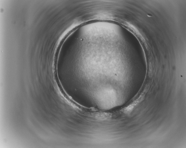 X0000087591331200705041459