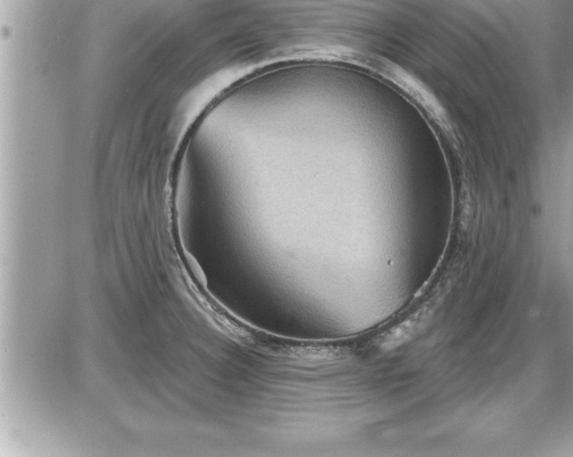 X0000087591332200705041459