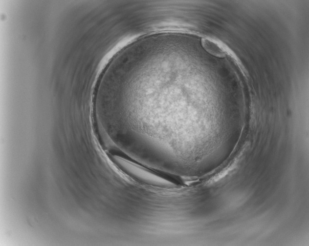 X0000087591333200705041459