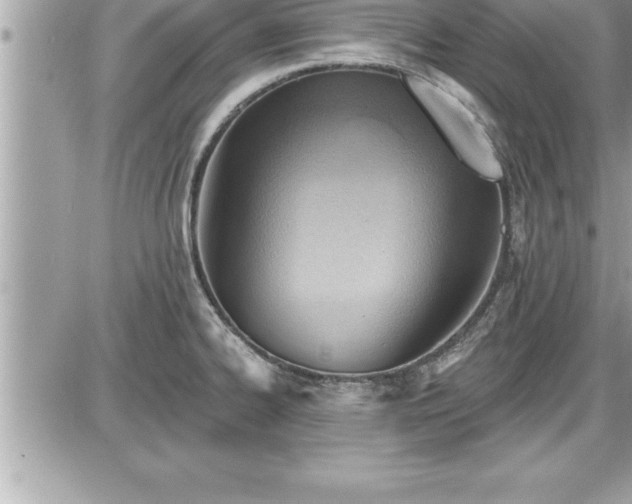 X0000087591334200705041459