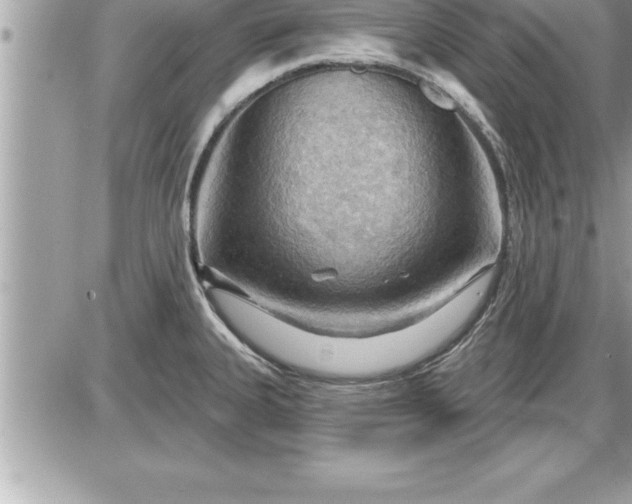 X0000087591335200705041459