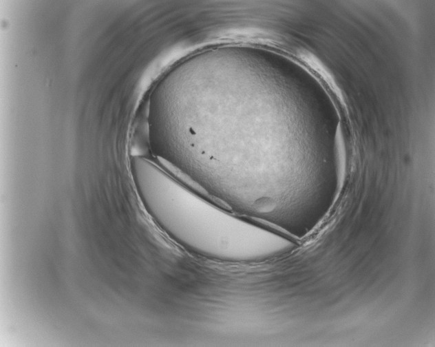 X0000087591336200705041459