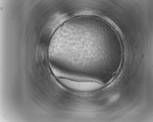 X0000087591337200705041459