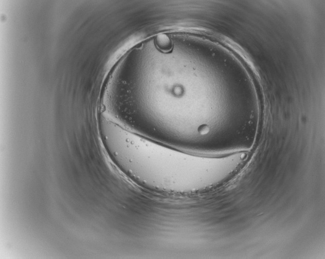 X0000087591338200705041459