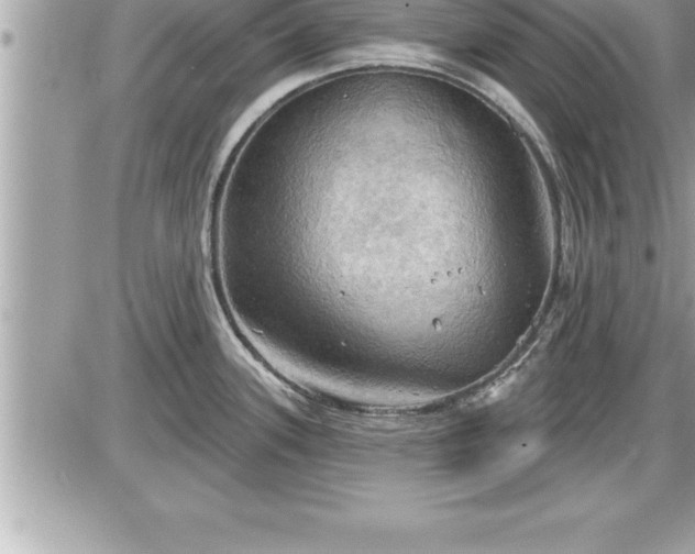 X0000087591339200705041459