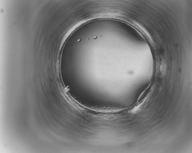 X0000087591340200705041459