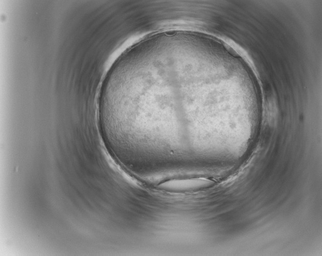 X0000087591341200705041459