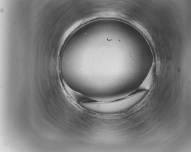 X0000087591342200705041459