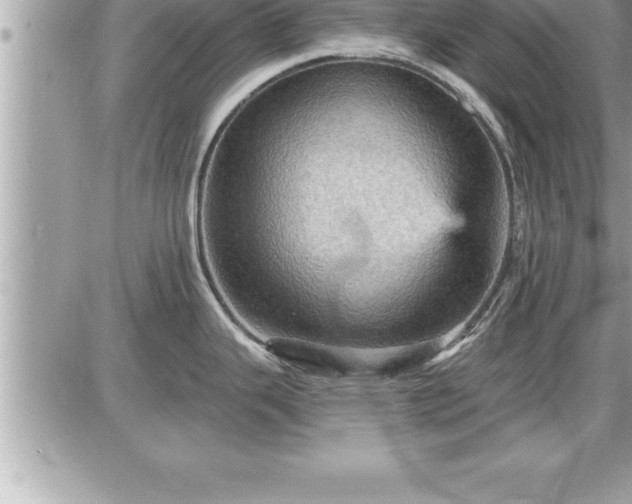 X0000087591343200705041459