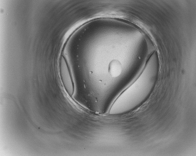 X0000087591344200705041459