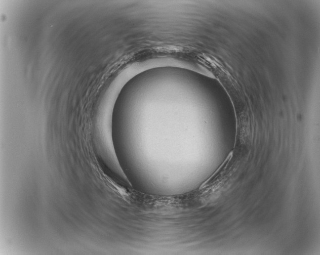 X0000087591345200705041459