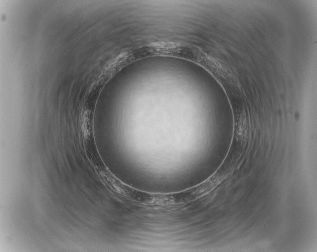 X0000087591346200705041458