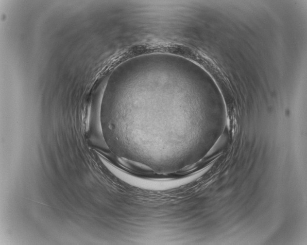 X0000087591348200705041458