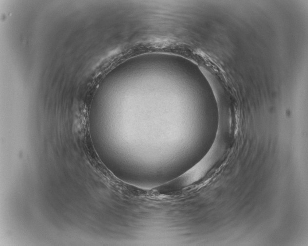 X0000087591349200705041458