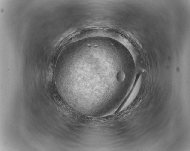 X0000087591350200705041458