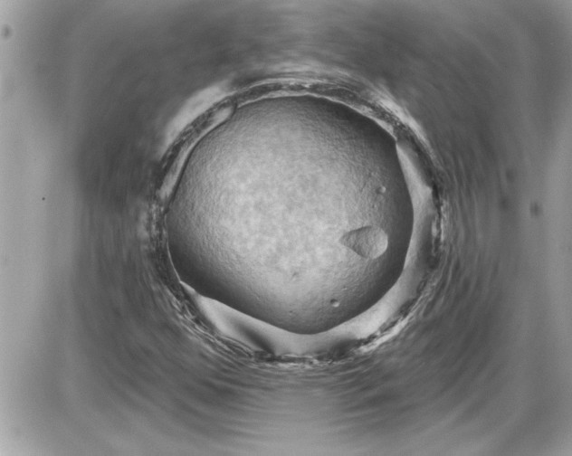 X0000087591352200705041458