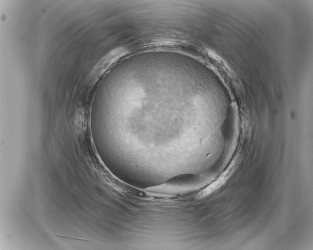 X0000087591353200705041458