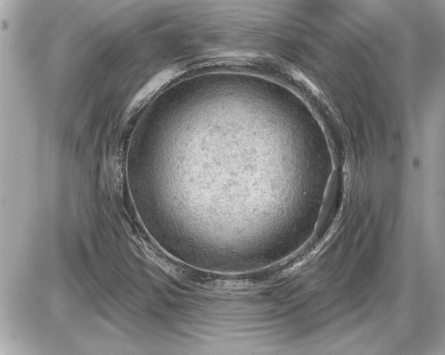 X0000087591354200705041458