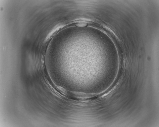 X0000087591355200705041458