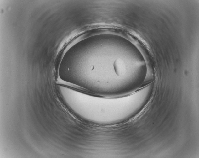 X0000087591357200705041458