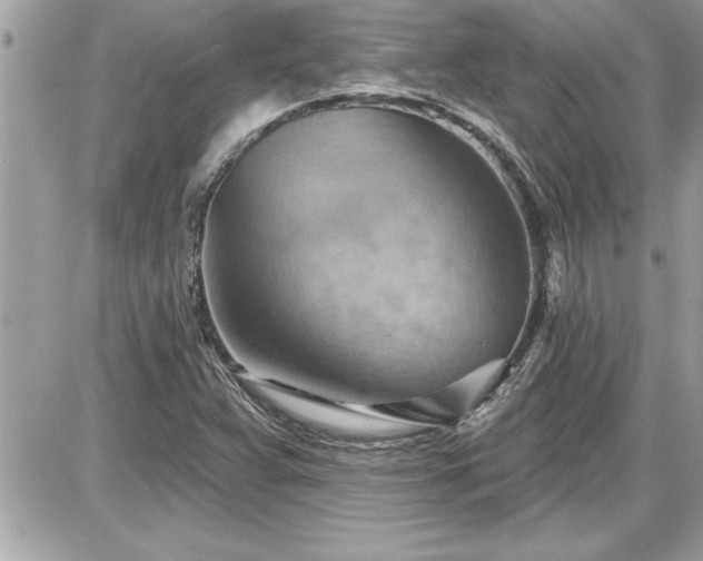 X0000087591359200705041458