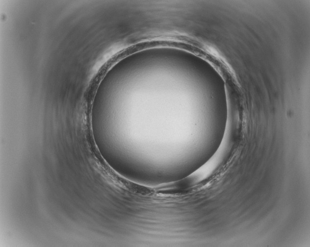 X0000087591360200705041458