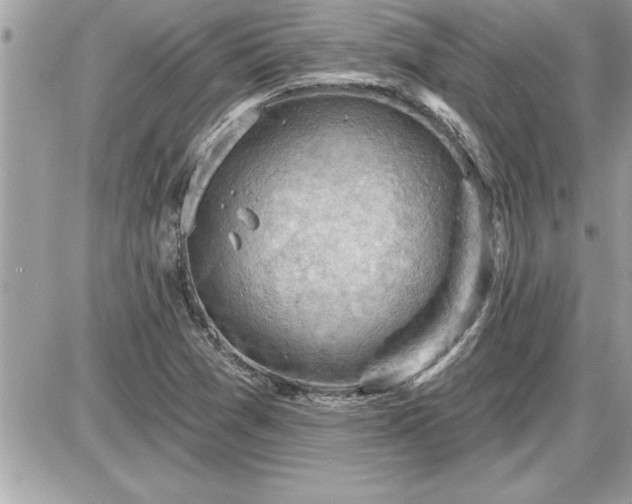 X0000087591361200705041458