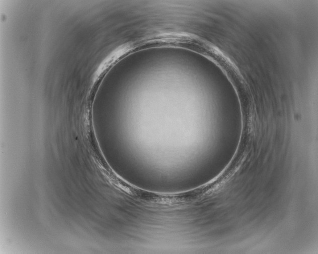 X0000087591362200705041458