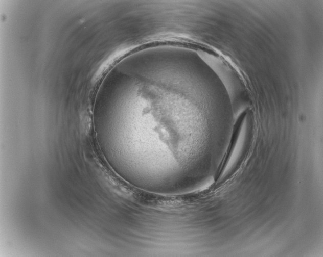 X0000087591363200705041458