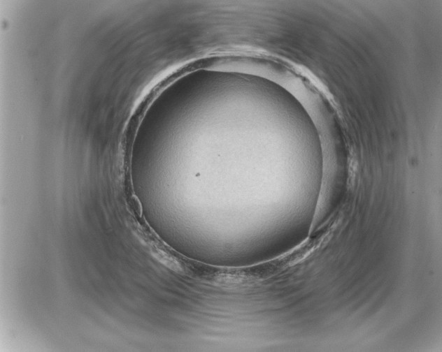 X0000087591364200705041458