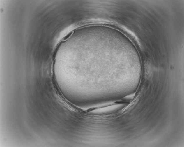 X0000087591365200705041458