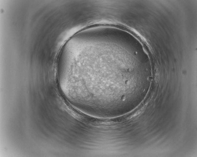 X0000087591367200705041458