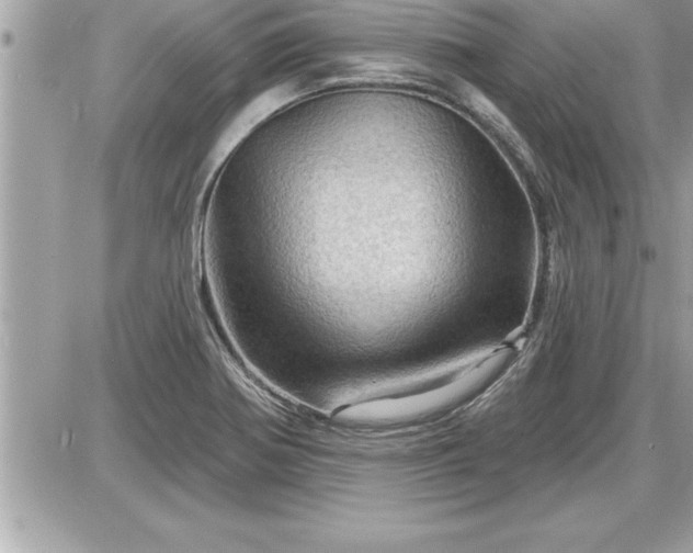 X0000087591370200705041458