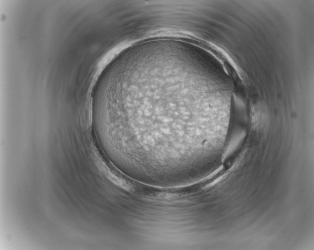 X0000087591371200705041458