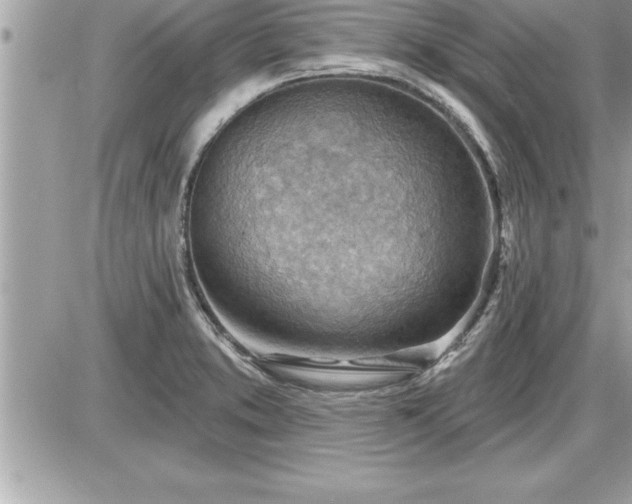 X0000087591373200705041458