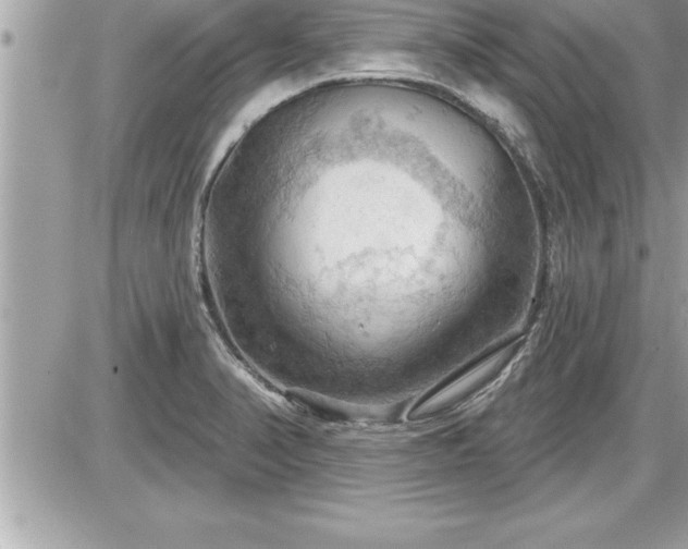 X0000087591374200705041458