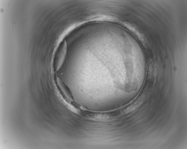 X0000087591375200705041458