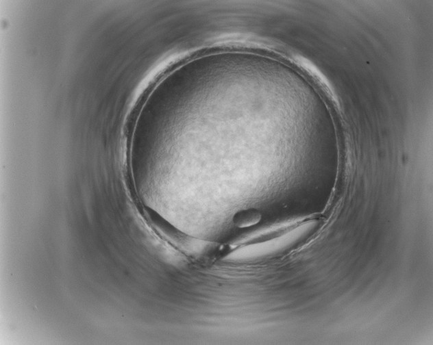 X0000087591376200705041458