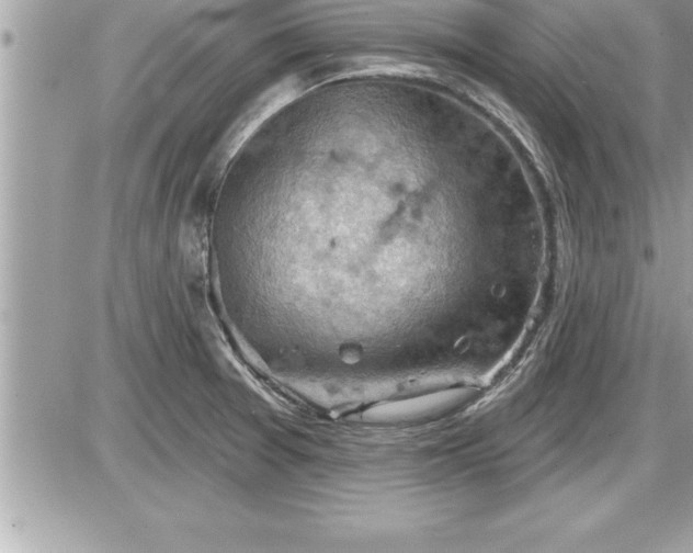 X0000087591377200705041458