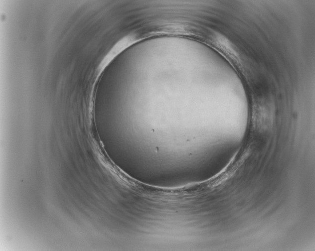 X0000087591378200705041458