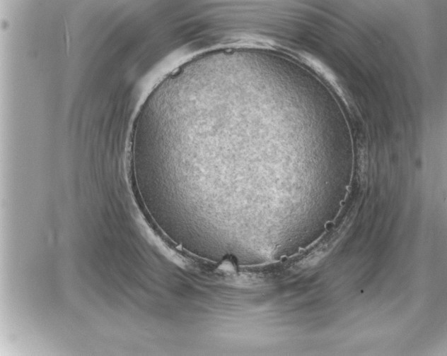 X0000087591379200705041458