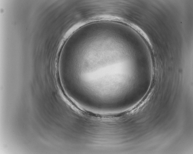 X0000087591381200705041458