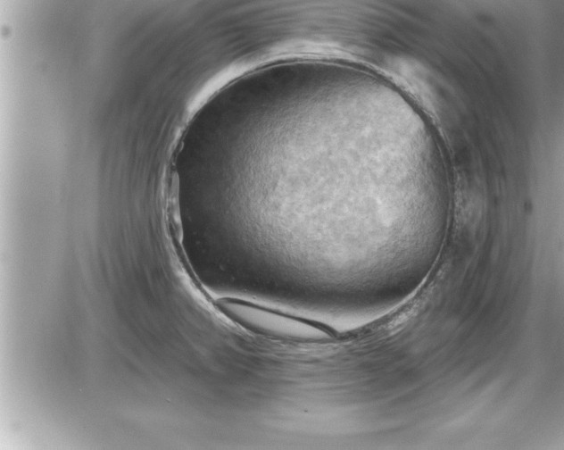 X0000087591382200705041458