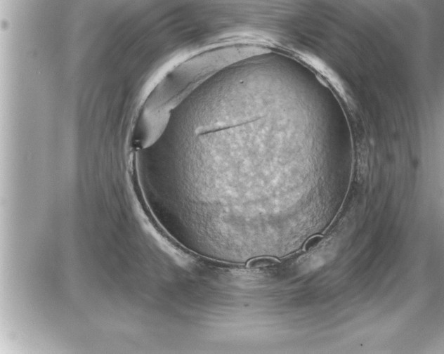 X0000087591383200705041458