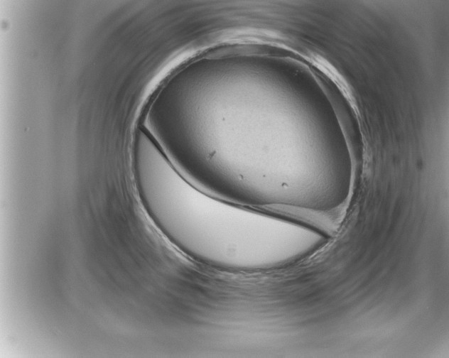 X0000087591384200705041458