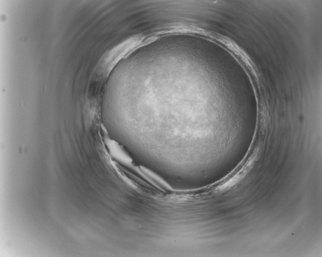 X0000087591385200705041458