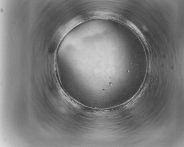 X0000087591386200705041458