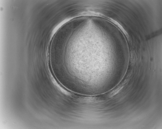 X0000087591387200705041458